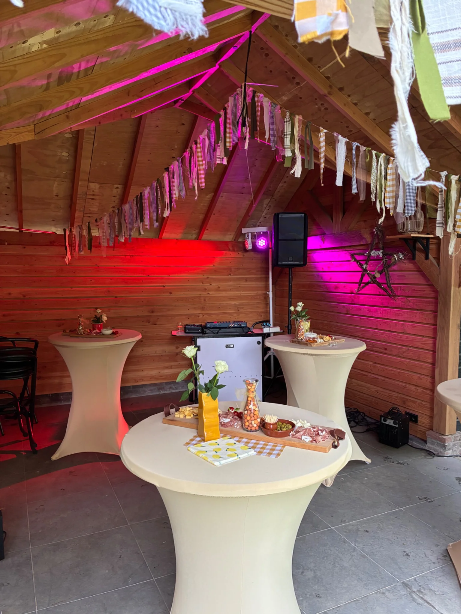 Professionele DJ-opstelling met licht en geluid in Zuid-Limburg